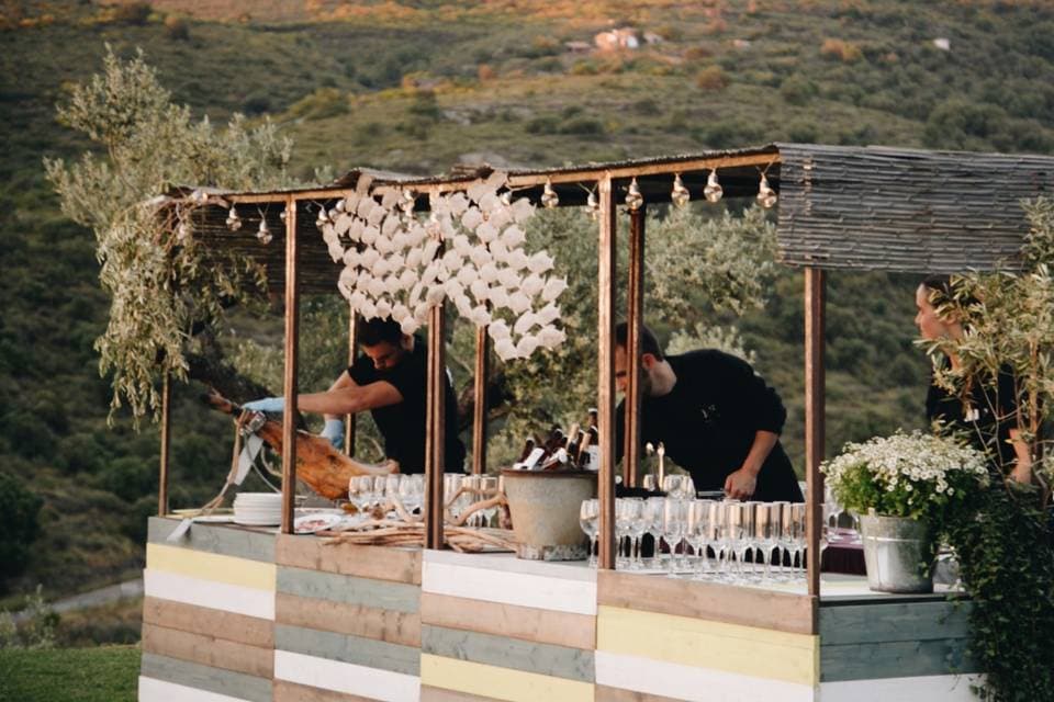 Catering & Dining Experiences