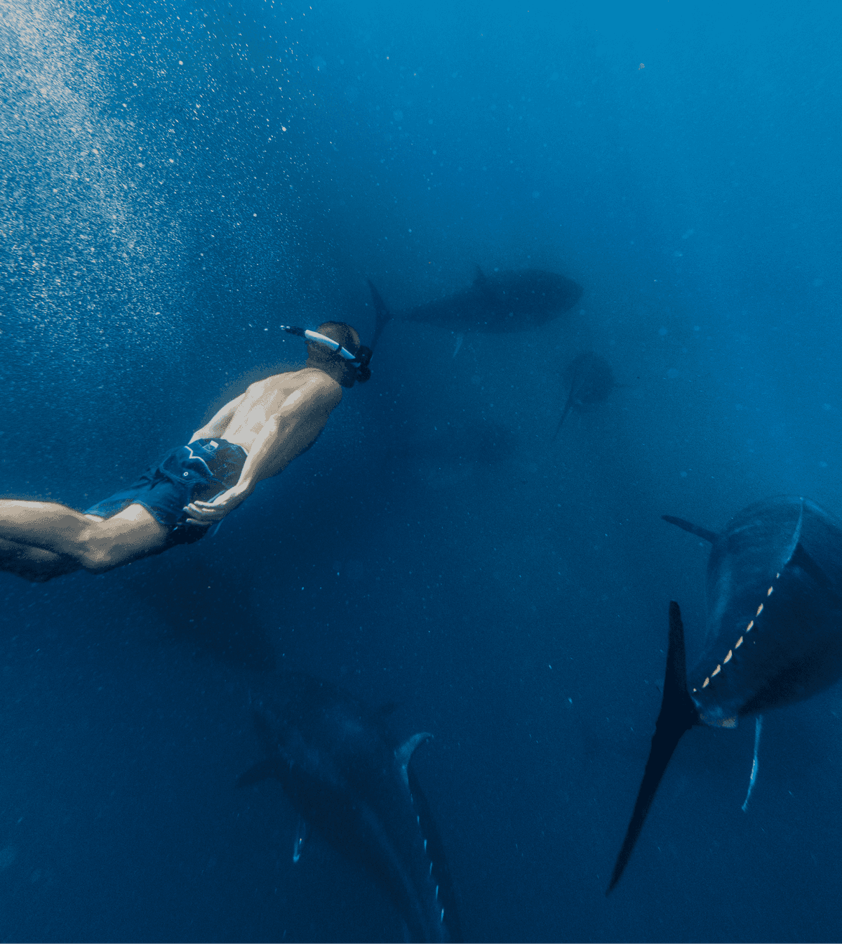 Executive Leadership Retreat